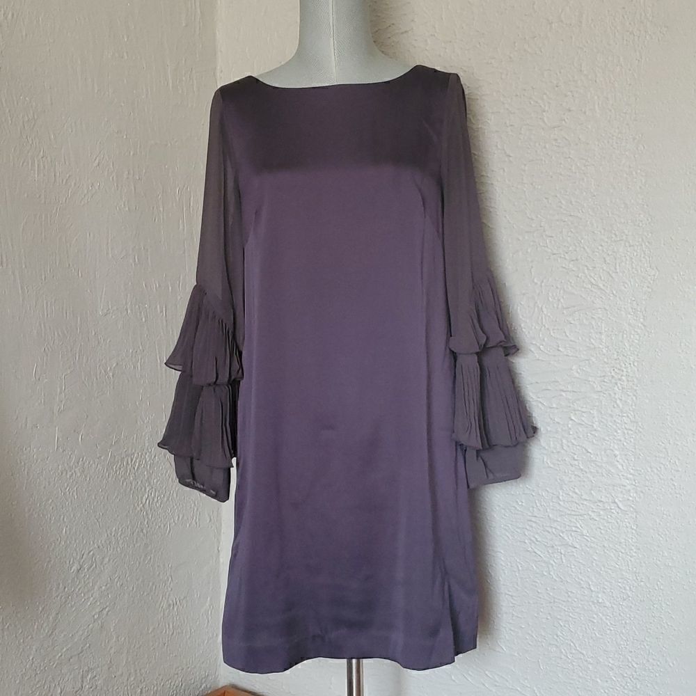 Ann Taylor | Ruffle Sleeve Dress